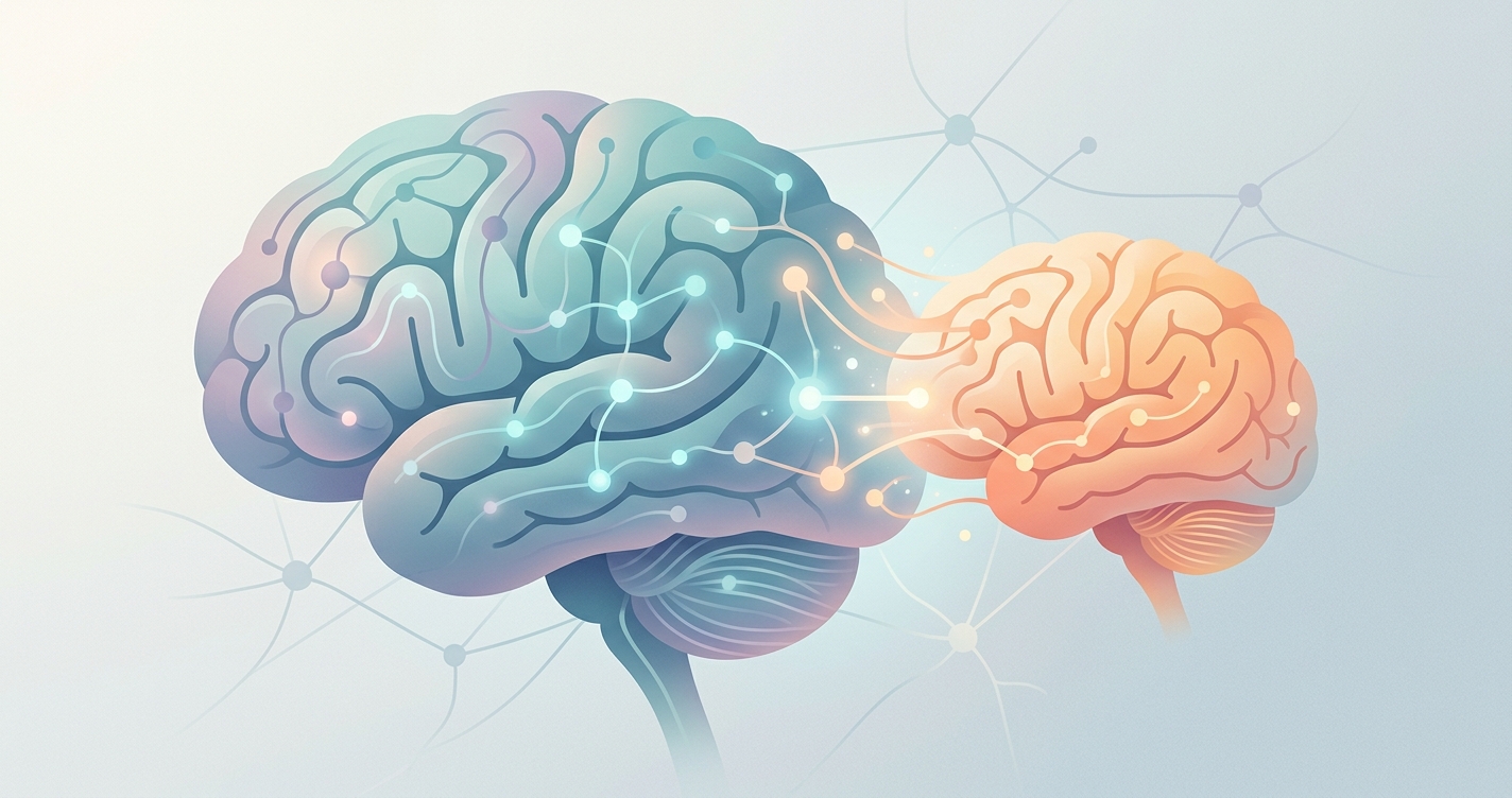 What Is Transfer Learning for rPPG? Adapting Models to New Sensors